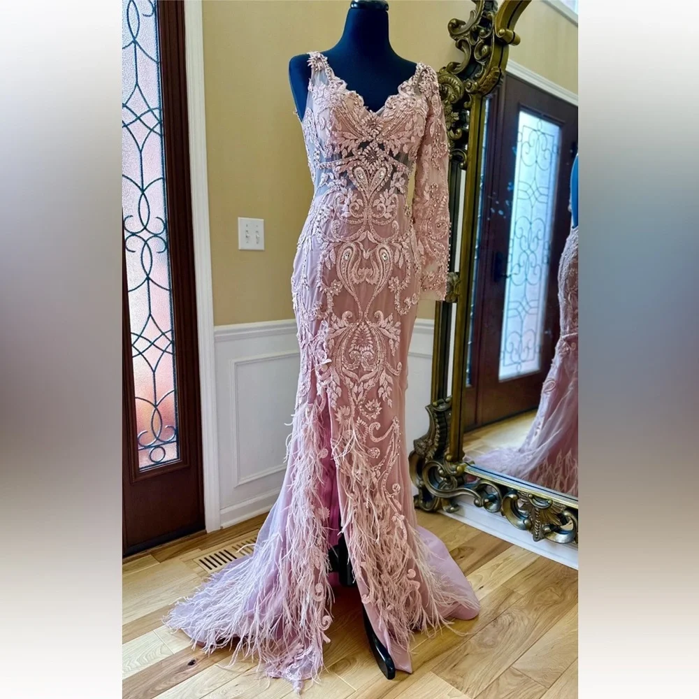 Portia and Scarlett Blush Long Sleeve Feather Fringed Embroidered Gown Size 6 - Picture 2 of 16
